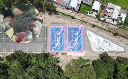 ¿Cuánto cuesta visitar el Santuario del Ajolote de Puebla?