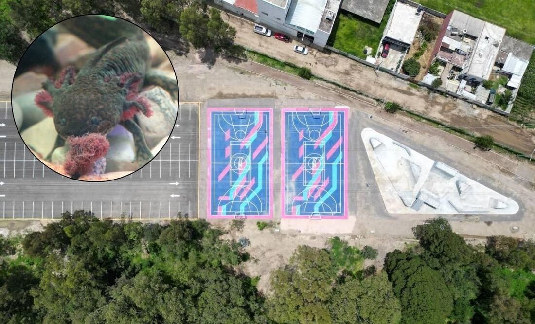 El Santuario del Ajolote fue rehabilitado para los visitantes en Puebla | Foto: Ayuntamiento de Puebla