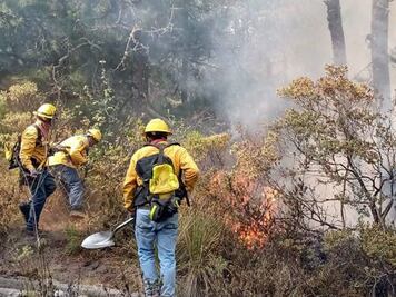 Cambio climático provoca más incendios en Puebla: Conafor