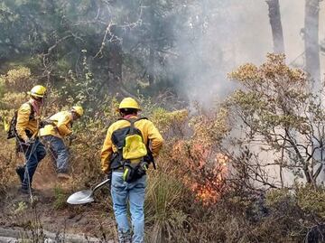 Cambio climático provoca más incendios en Puebla: Conafor