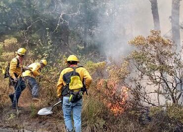 Cambio climático provoca más incendios en Puebla: Conafor