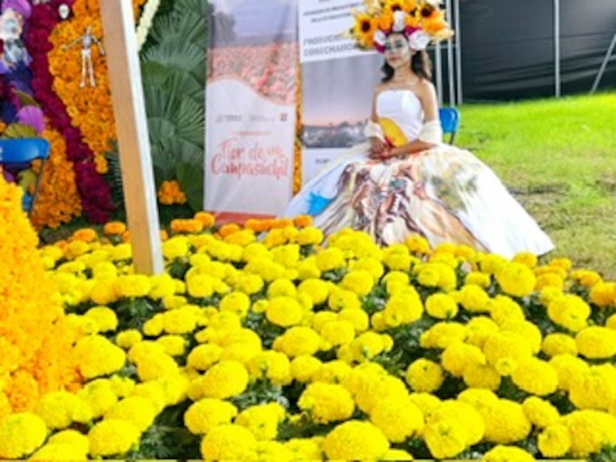 La venta de flor inicia el 26 de octubre en el mercado de Huejotzingo I Foto: Gobierno del Estado