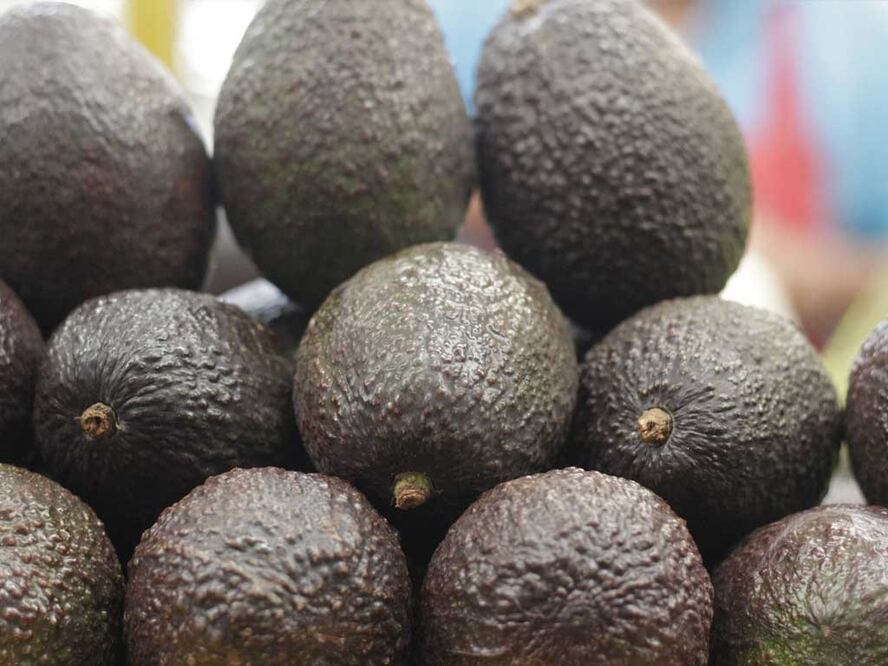 Foto: Agencia Es Imagen para El Universal Puebla