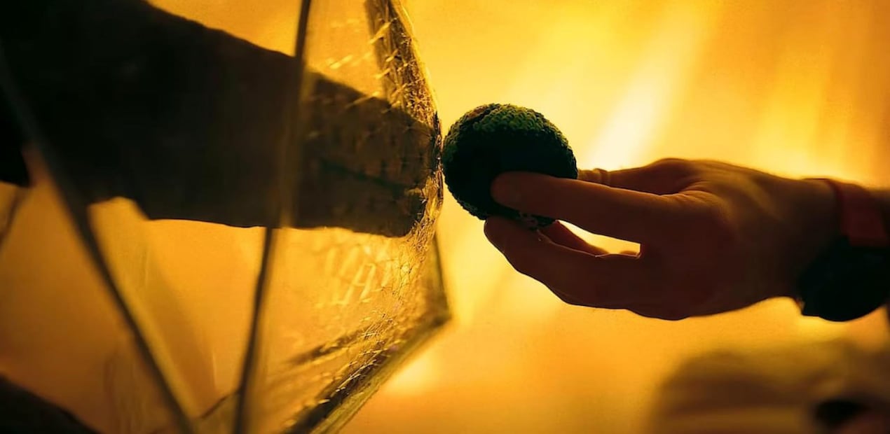 Lo más importante para el filme es desarrollar la historia con corazón y humanidad, lo cual da frutos con un emotivo final | Foto: Metro-Goldwyn-Meyer