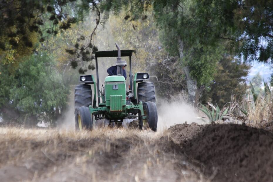 Por lo menos en 5 municipios del estado aún se emplean algunos tipos de químicos contra las plagas | EsImagen