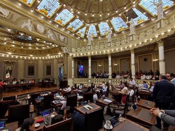 Activistas exigen al Congreso de Puebla penalizar la zoofilia