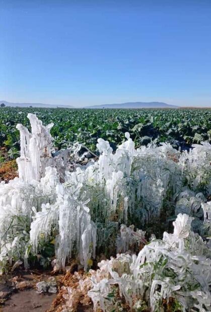 Fotos Redes Sociales