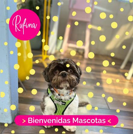 Restaurantes petfriendly en Puebla. Conócelos