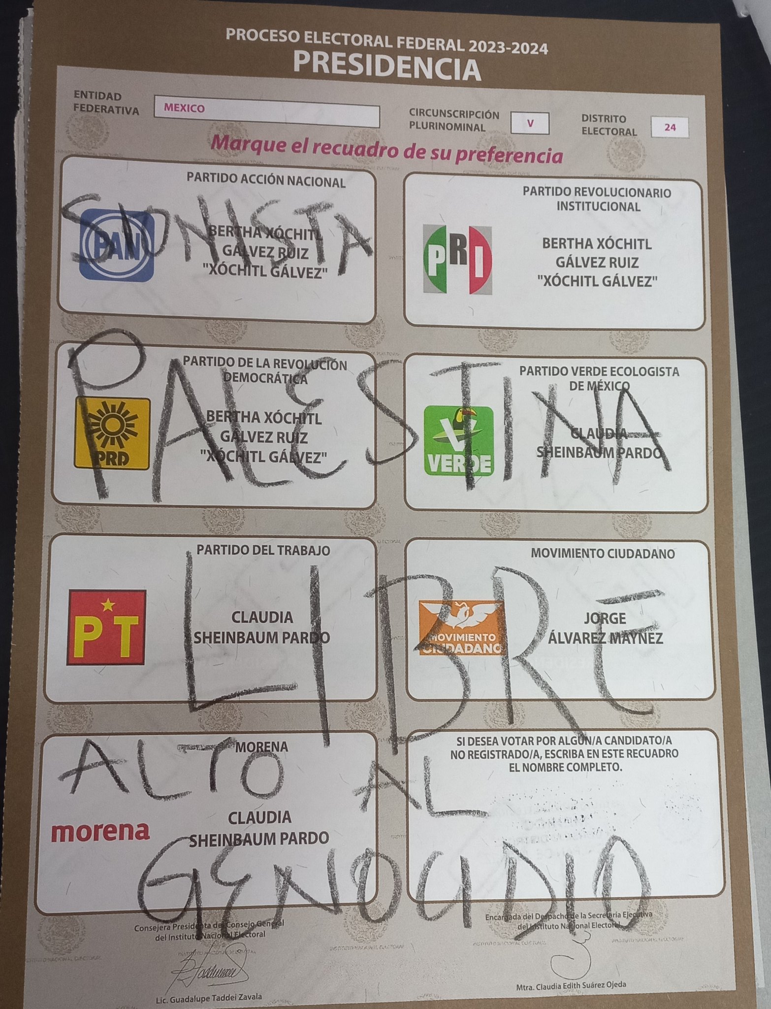 Las elecciones del 2024 fueron el pretexto perfecto para expresarse libremente| Foto: Canvas/ Redes Sociales
