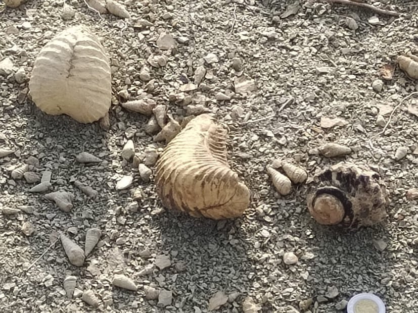 Foto: Facebook San Juan Raya