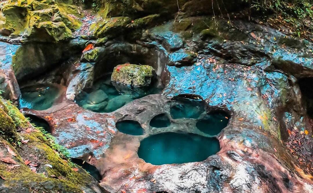 Se les llama Pata de Perro por su forma de huellas caninas. Foto: Visit Puebla / Instagram