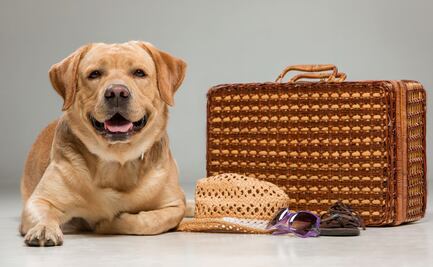 5 destinos pet friendly para viajar con tu mascota en Puebla