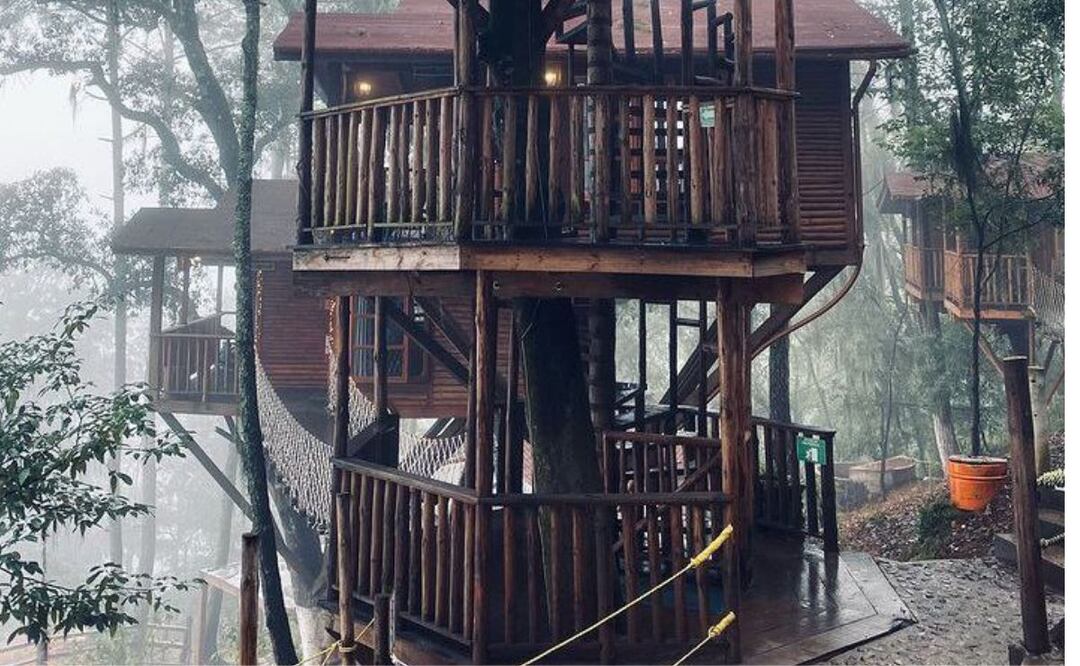 A 7 minutos de Zacatlán están estas bellas cabañas que asemejan casas de árbol | Foto: Instagram Kali Tree