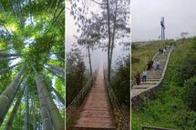 3 bosques bonitos y tranquilos en Puebla ideales para caminar sin estrés