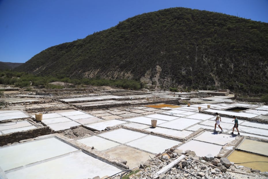 Zapotitlán Salinas | Foto: EsImagen