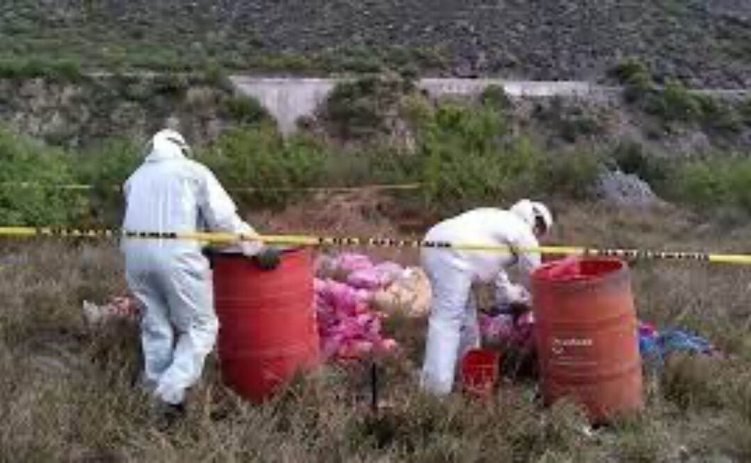 En redes sociales denunciaron el tiradero de restos y vísceras de animales en la vía pública en San Francisco Totimehuacán | Foto: Archivo El Universal
