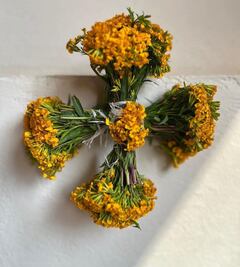 Ve por tu “flor de pericón”, se acerca la noche en la que el diablo anda suelto