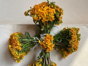 Ve por tu “flor de pericón”, se acerca la noche en la que el diablo anda suelto