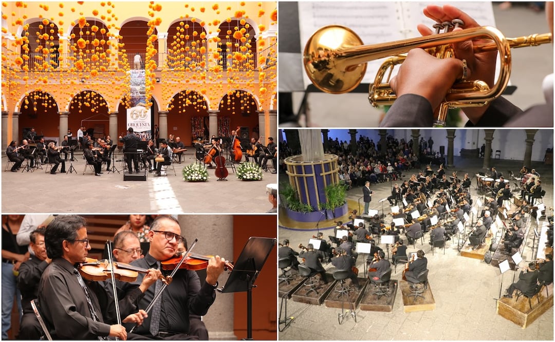 Para mayor información sobre los eventos, los interesados pueden consultar las redes oficiales de la Secretaría de Cultura | Foto: Gobierno del Estado