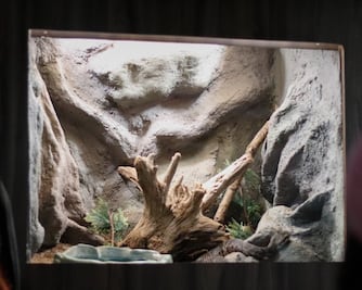 Museo Viviente de Puebla y otros recintos inusuales de la ciudad