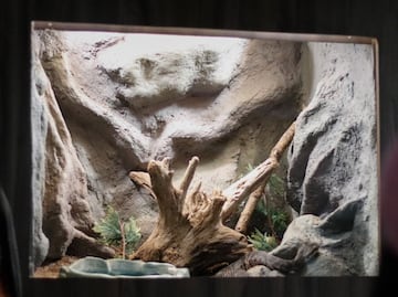 Museo Viviente de Puebla y otros recintos inusuales de la ciudad