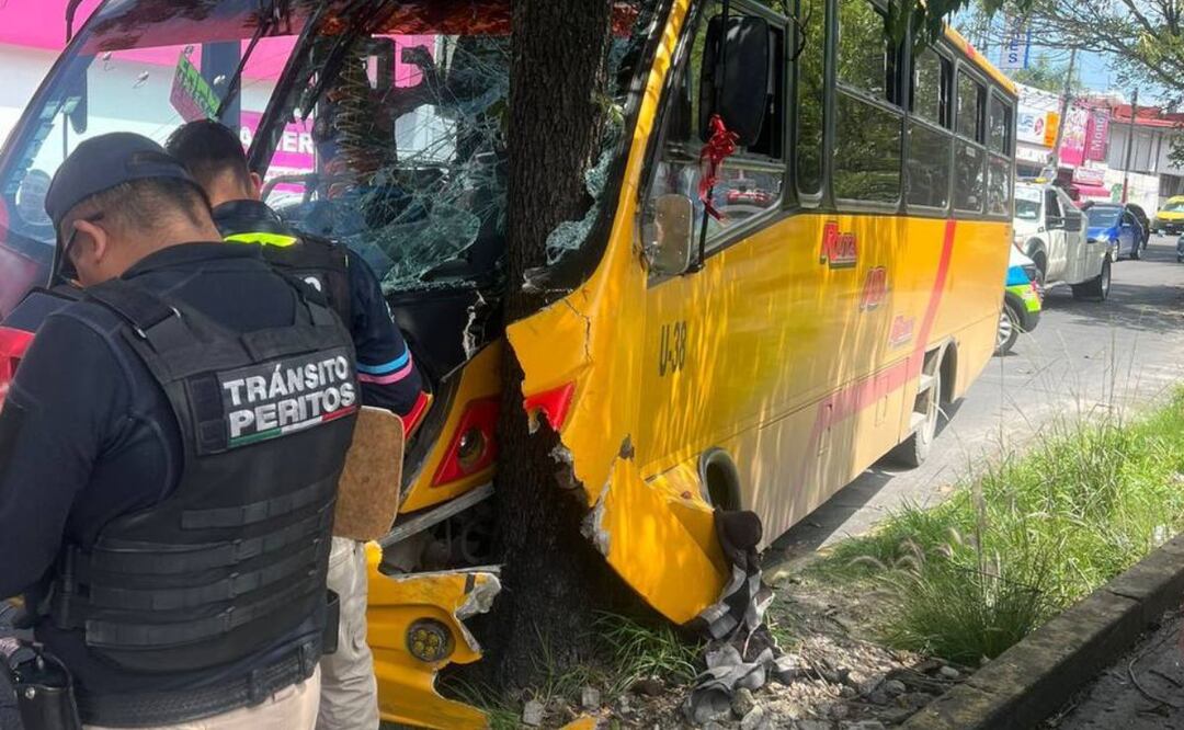 Un autobús de la Ruta 10 se subió al camellón y chocó contra un árbol en las inmediaciones de Plaza Dorada | Foto: Especial