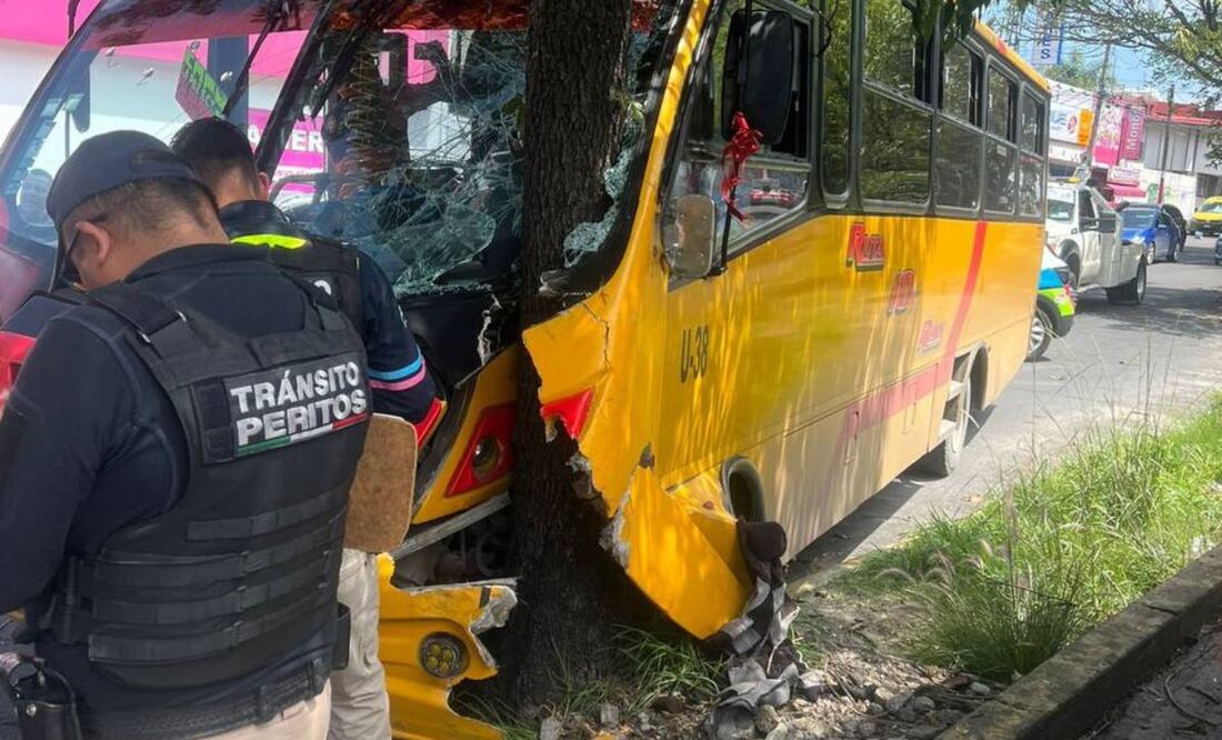 Un autobús de la Ruta 10 se subió al camellón y chocó contra un árbol en las inmediaciones de Plaza Dorada | Foto: Especial