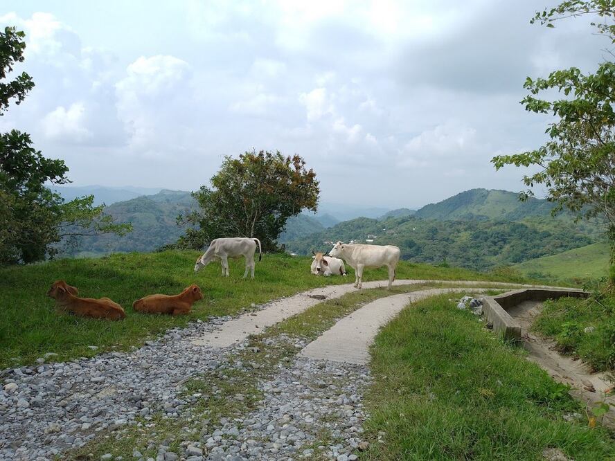 Nuevo Jerusalén se ubica en Jalpan, Puebla | Foto: Google / Beatriz Adriana Rosales Gonzalez