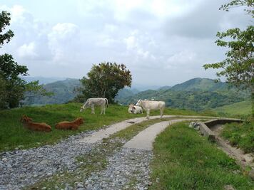 Así es el Nuevo Jerusalén de Puebla donde solo viven 66 habitantes