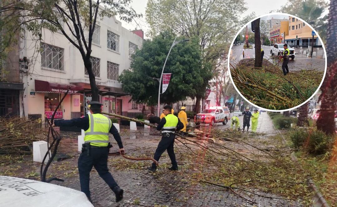 Tormenta en Puebla derriba árbol en avenida Juárez, no hay lesionados | Foto: Ayuntamiento de Puebla.