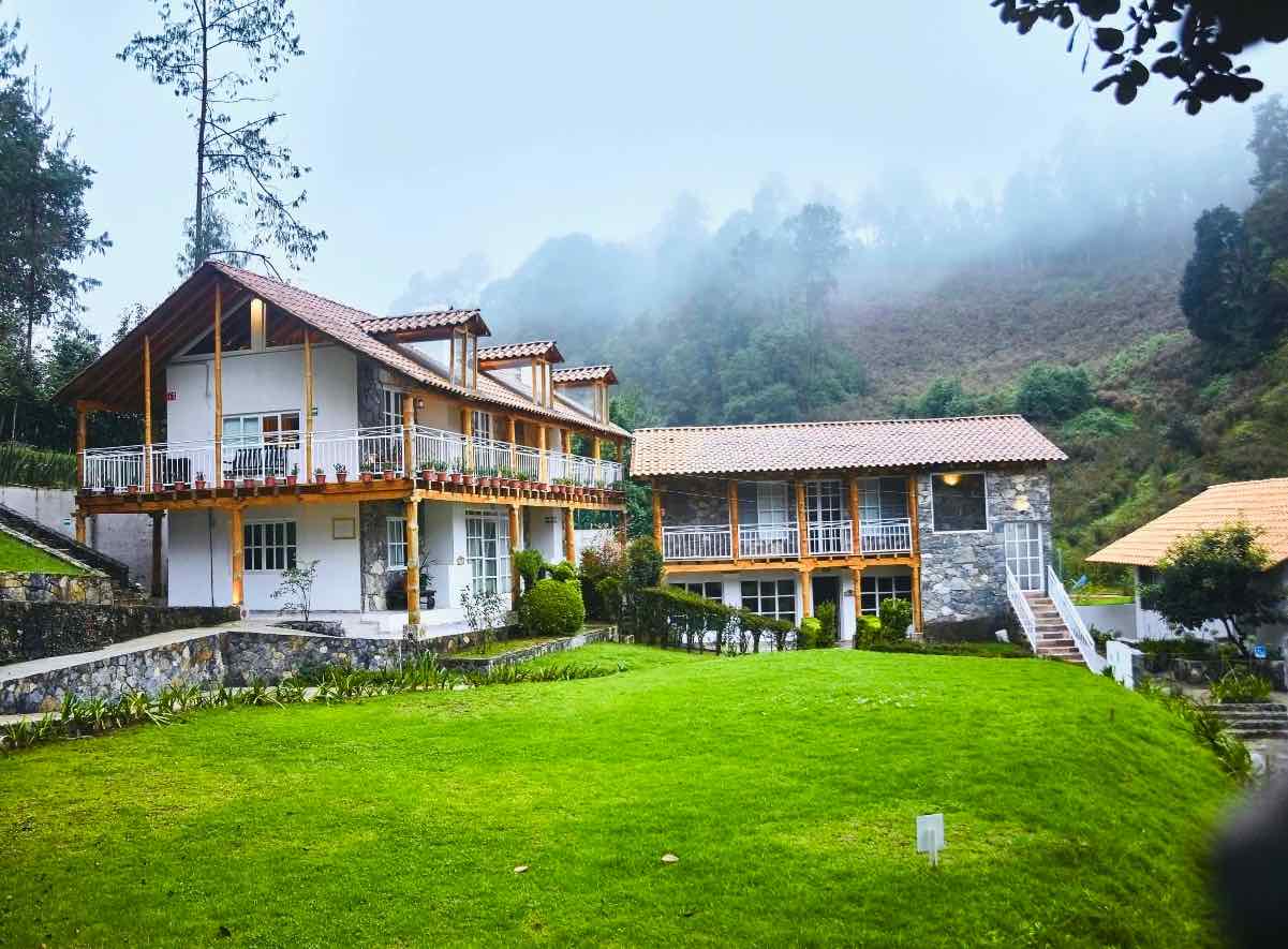 Pasa días increíbles en esta finca que cultiva moras azules en Zacatlán