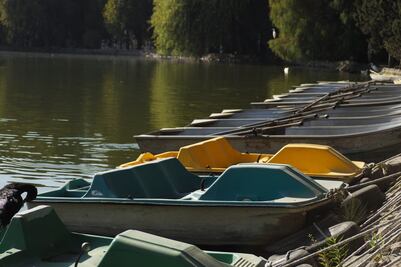 Por esta razón se redujo la Laguna de San Baltazar Campeche