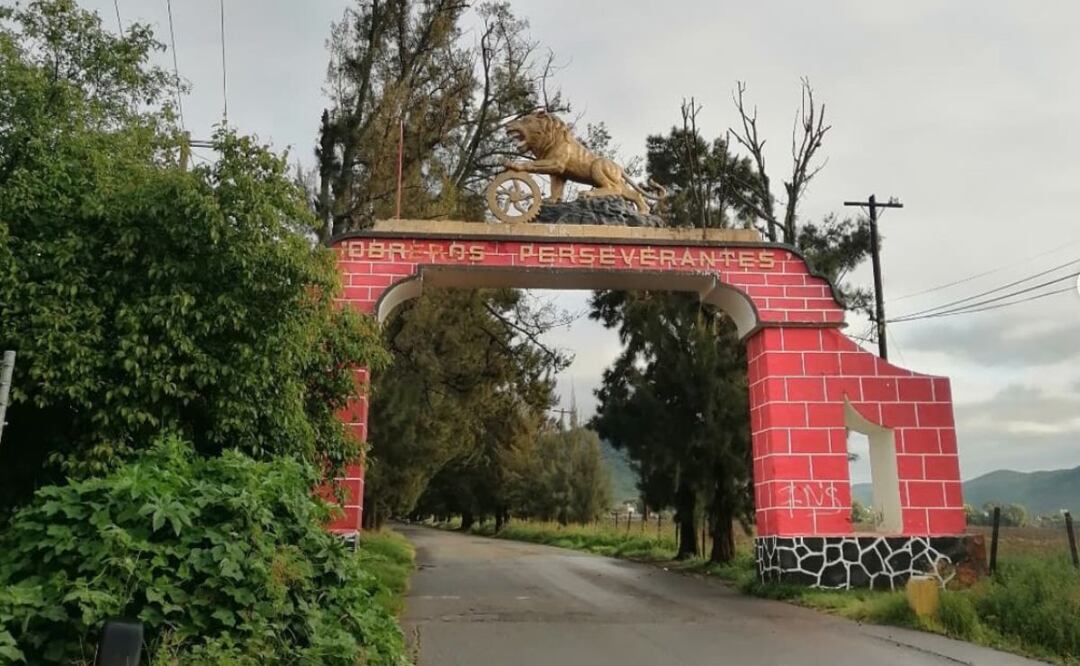 Este león ha desencadenado muchas historias pero esta es la real | Foto: Instagram tio_champs