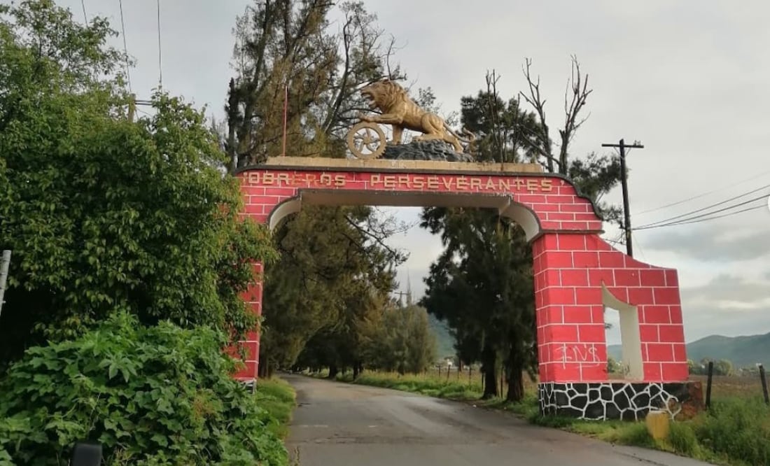 Este león ha desencadenado muchas historias pero esta es la real | Foto: Instagram tio_champs