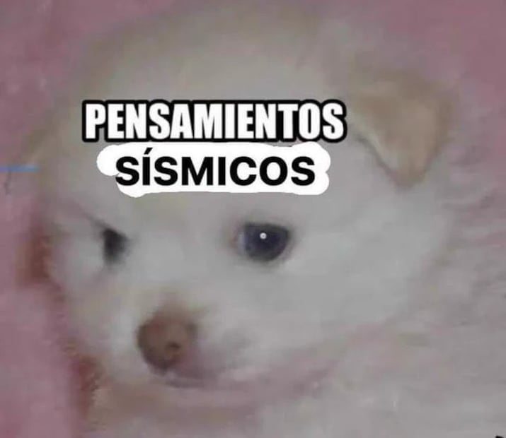 Foto: Redes Sociales