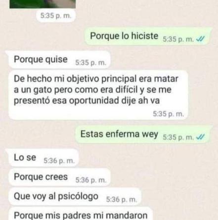 Indigna en redes adolescente de Huauchinango que mató a un perro y lo presumió en WhatsApp  