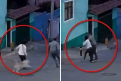 Atacan a mujer a machetazos por defender a perritos en Puebla