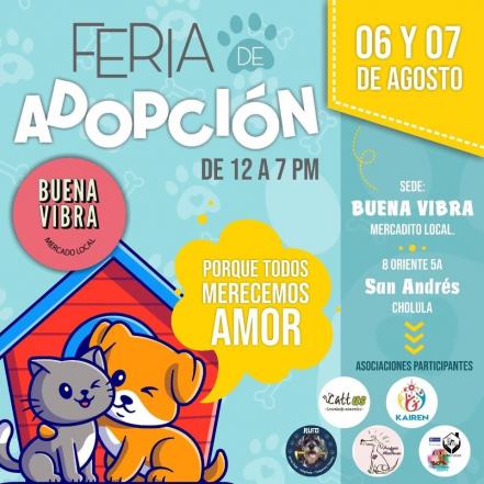 Feliz Día del Gato 2022 en Puebla. Feria de adopciones y Expo Mascotas para celebrar 