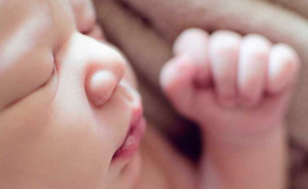 Foto: Archivo El Universal