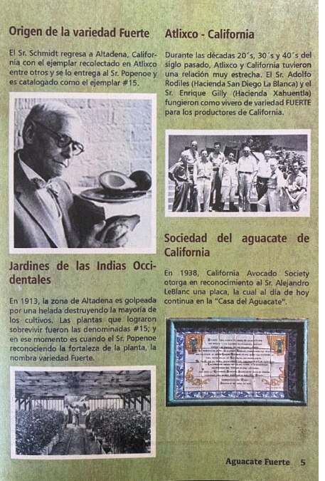 En el Pueblo Mágico de Atlixco está la Casa del Aguacate | Foto: Facebook Atlixco Pueblo Mágico Puebla