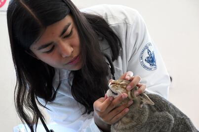 Hospital Veterinario para Pequeñas Especies de la BUAP egresa excelentes especialistas