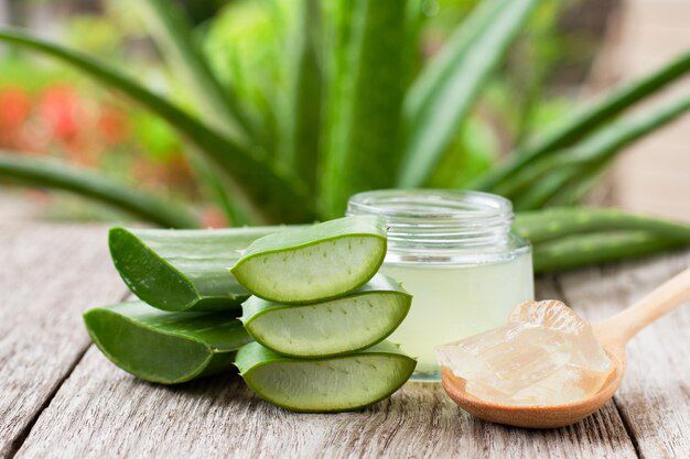 Desvelando los secretos de la crema de Aloe Vera. Fuente: Freepik.