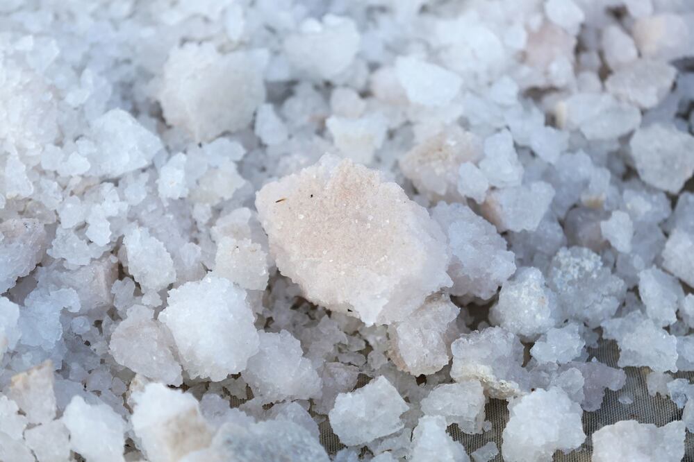 Unos 80 productores producen sal baja en sodio. Foto: Cuartoscuro