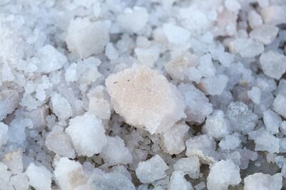 Sal orgánica de Puebla ¿Cómo se extrae en Zapotitlán Salinas?