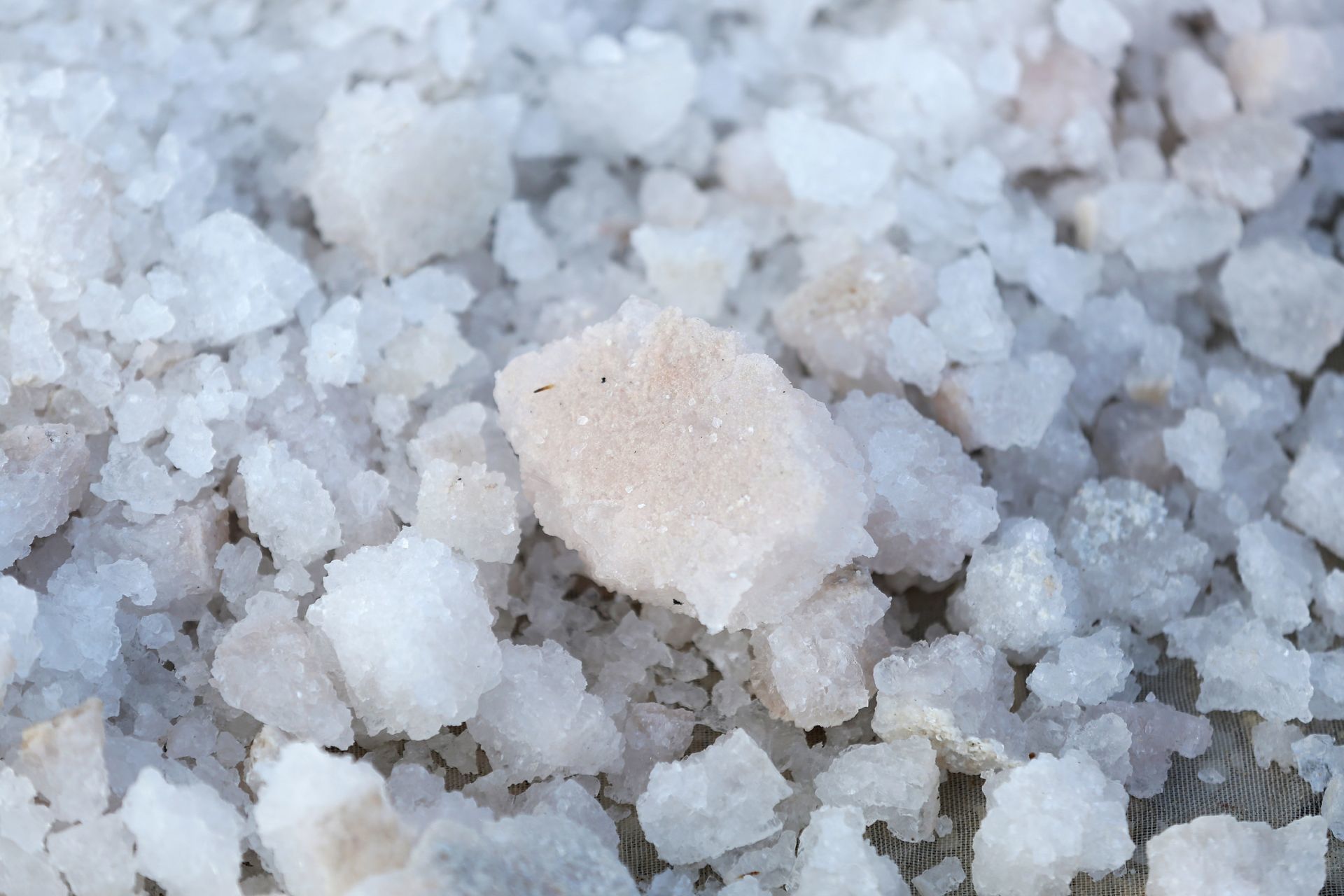 Sal orgánica de Puebla ¿Cómo se extrae en Zapotitlán Salinas?