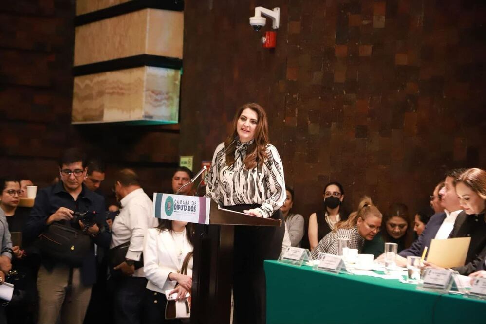 La diputada poblana resaltó la importancia del trabajo conjunto / FOTO: Especial