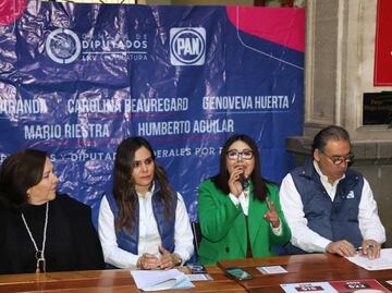 Diputados federales del PAN denunciarán actos anticipados de campaña