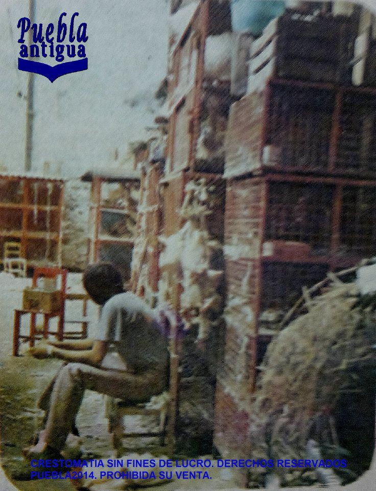 Calle de los Gallos Puebla Antigua | Foto: Colección Gustavo Velarde Tritschler