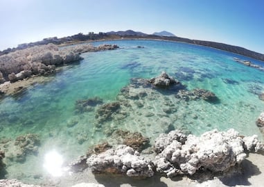 Cuáles son los tesoros de la Laguna de Alchichica que deberán ser resguardados