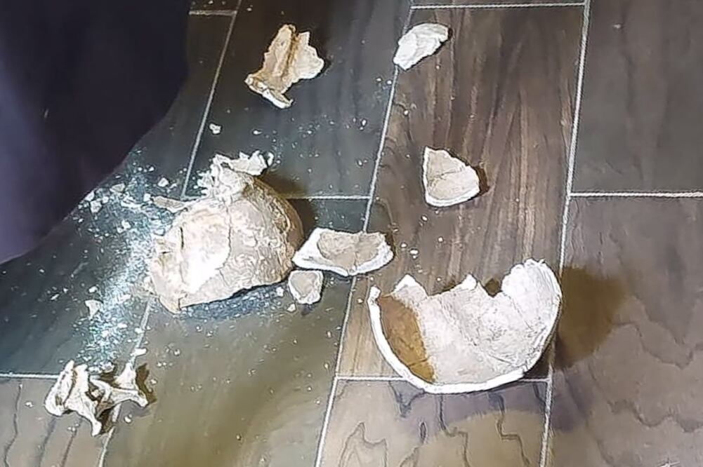 Un cráneo de aproximadamente 700 años de antigüedad se rompió en un evento | Agencia Es Imagen para El Universal Puebla